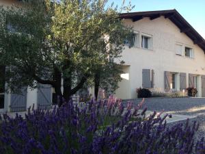 B&B / Chambres d'hotes Aux Sources d'Hossegor : photos des chambres