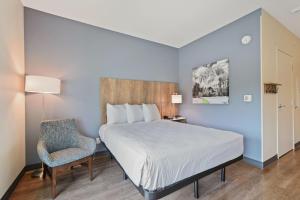 Standard Studio Queen Room - Non-Smoking room in Extended Stay America Premier Suites - Austin - Austin Airport