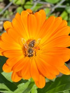 Apartment Studio Van Bakel Gerard