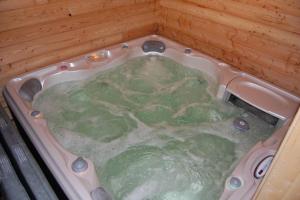 Chalet Alpe dHuez 1850-Sea and Mountain Pleasure Avec 2 appartements- 1 Appartement 3 Chambres 8 Couchages - 3 Salles deau et 1 Appartement 5 Chambres 12 Couchages 5 Salles deau - Jacuzzi et Sauna -Pieds des Pistes et Centre