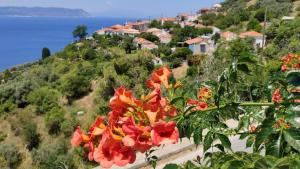 Sunset House Skopelos Greece