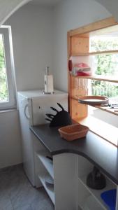 Apartma med oljkami Spodnji