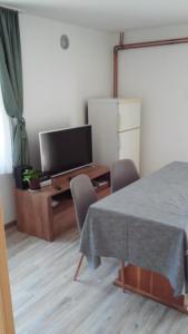 Apartma med oljkami Spodnji