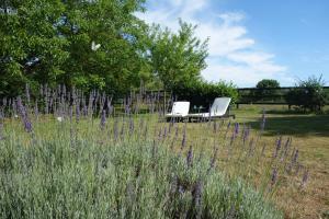 Maisons de vacances Le cottage du Coudray, gite avec chalet sauna : photos des chambres