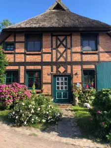 Ferienwohnung Gerda - Freetz