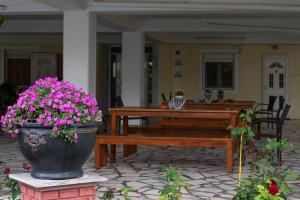 Zoi Apartments Pieria Greece