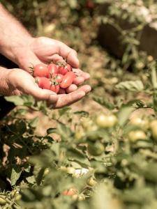 Aloni Villa, an Authentic Countryside Retreat, By ThinkVilla