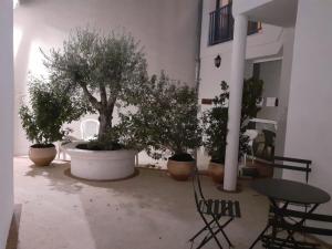 Appartements L ilot Grec : photos des chambres