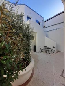 Appartements L ilot Grec : photos des chambres