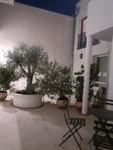 Appartements L ilot Grec : photos des chambres