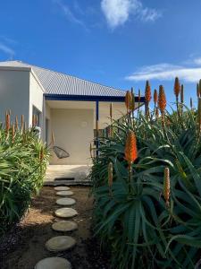 Surfpoint Resort