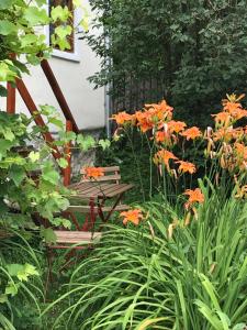 Dominic Boutique - Casa Mare