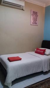 Manja Inn, Paka