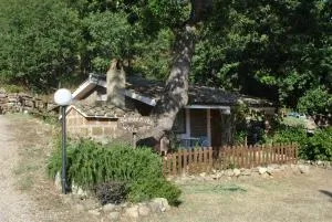 Azienda Agricola Biologica La Cardellina - Tolfa