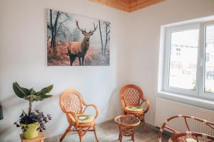 Apartmán v přírodě pro 4 osoby