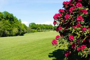 Hotels Saint Malo Golf Resort : photos des chambres