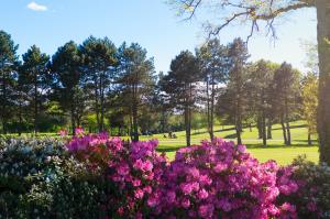 Hotels Saint Malo Golf Resort : photos des chambres