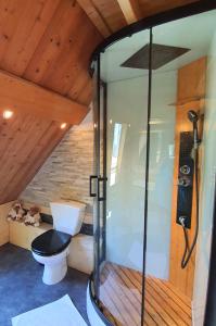 Chalets Cosy Lodge au pied de l'Alpe D'Huez Sport et Detente Jacuzzi Piscine Sauna Bar Billard : photos des chambres