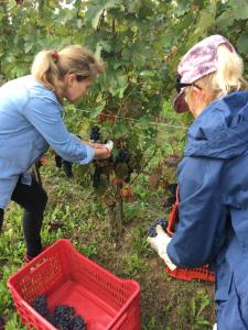 Agriturismo Cascina del Rosone