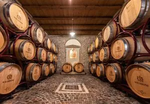 Agriturismo Salizzoni - Pomarolo