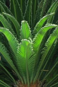 B&B / Chambres d'hotes B&B Le Patio En Ville - Chambres d'hotes : photos des chambres