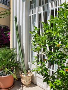 B&B / Chambres d'hotes B&B Le Patio En Ville - Chambres d'hotes : photos des chambres