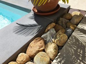 B&B / Chambres d'hotes B&B Le Patio En Ville - Chambres d'hotes : photos des chambres