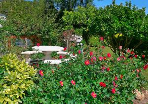 Casa Elena Turismo Rural