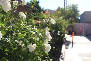 ERTH INN by AGA Maywood