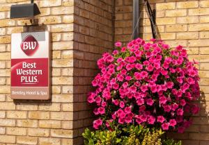 Best Western Plus Bentley Hotel