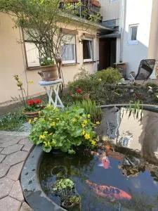 Ferienwohnung Bongartz - Eimen