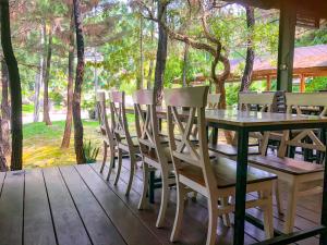 Phòng Tiêu Chuẩn (Standard Room)