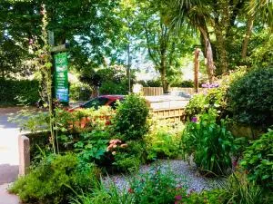 Rosalie Guest House - Paul