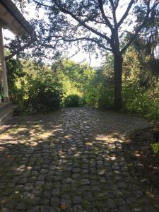 Ferienwohnung Haus am See