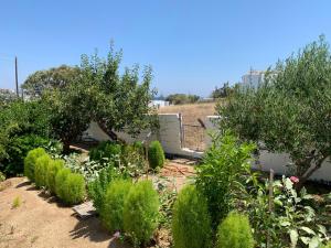 Prombona Petrino Spiti Studios Paros Greece