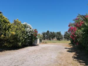 Maisons de vacances A 500m de la plage : photos des chambres