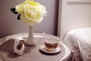 Dream apartment near the Old Tower