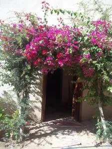 努尔埃尔格鲁纳酒店 - El Asasif