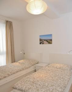 Apartment Serles