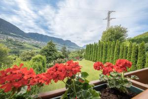 Tischlerhof - Typ B mit Balkon