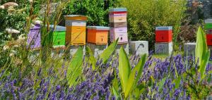 Sejours a la campagne Les 5 ruches : photos des chambres