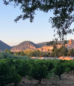 Maisons d'hotes Le Colombier : photos des chambres