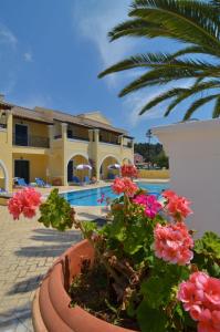 Clio Apartments Corfu Greece