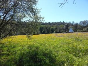 Cozy house in beautiful valley, close to the beach