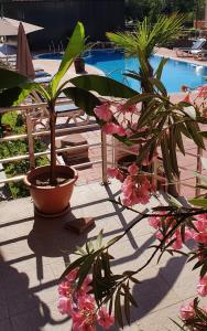 апартамент CACAO RESIDENCE