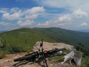 DOMEK NA CICHEJ