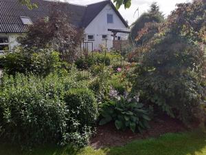 Brovst bed and breakfast