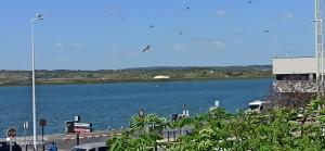 Suite Mirando al Guadiana