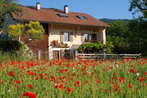 Ferienhaus Entredigue Divonne-les-Bains Frankreich