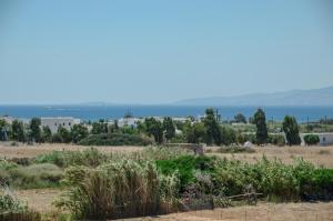 Sea & Olives villa Naxos Greece